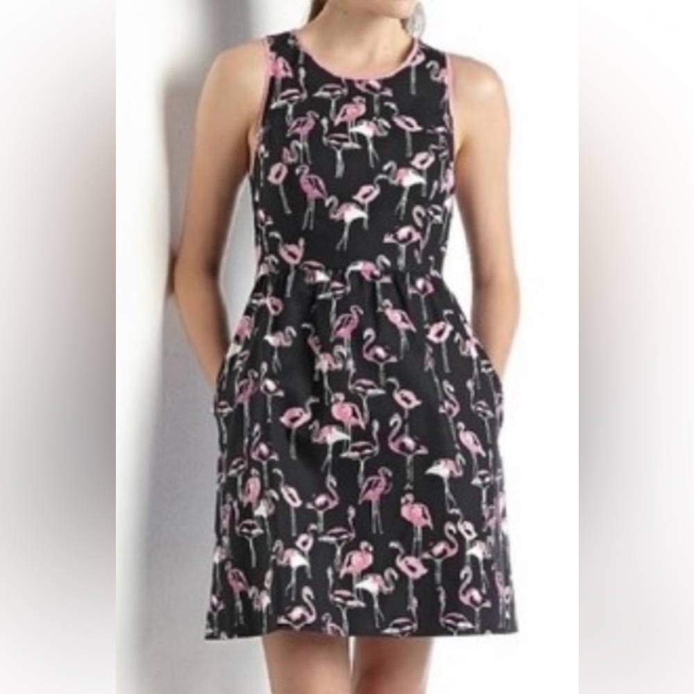 Crown & Ivy Flamingo Black Pink Print Fit & Flare Dress Sz 12 w Pockets